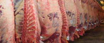 La Sociedad Rural afirma que sector de la carne perdió más de U$D1.000 millones