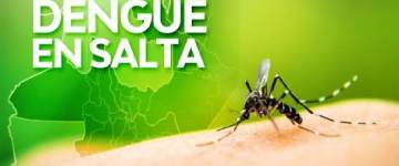 No se confirmaron casos de dengue en la provincia