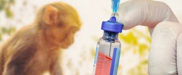 La Unión Europea autorizó el uso de la vacuna Imvanex contra la viruela del mono