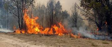 Los incendios forestales no dan respiro en el valle de Punilla de Córdoba