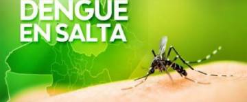 Hasta hoy se confirmaron 156 casos de dengue en la provincia