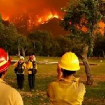 Incendios forestales en Chile: 15 muertos