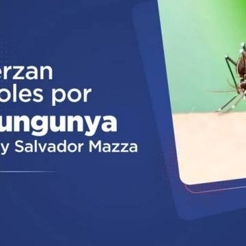 Salud refuerza la vigilancia epidemiológica en la frontera norte ante brote de Chikungunya en Bolivia